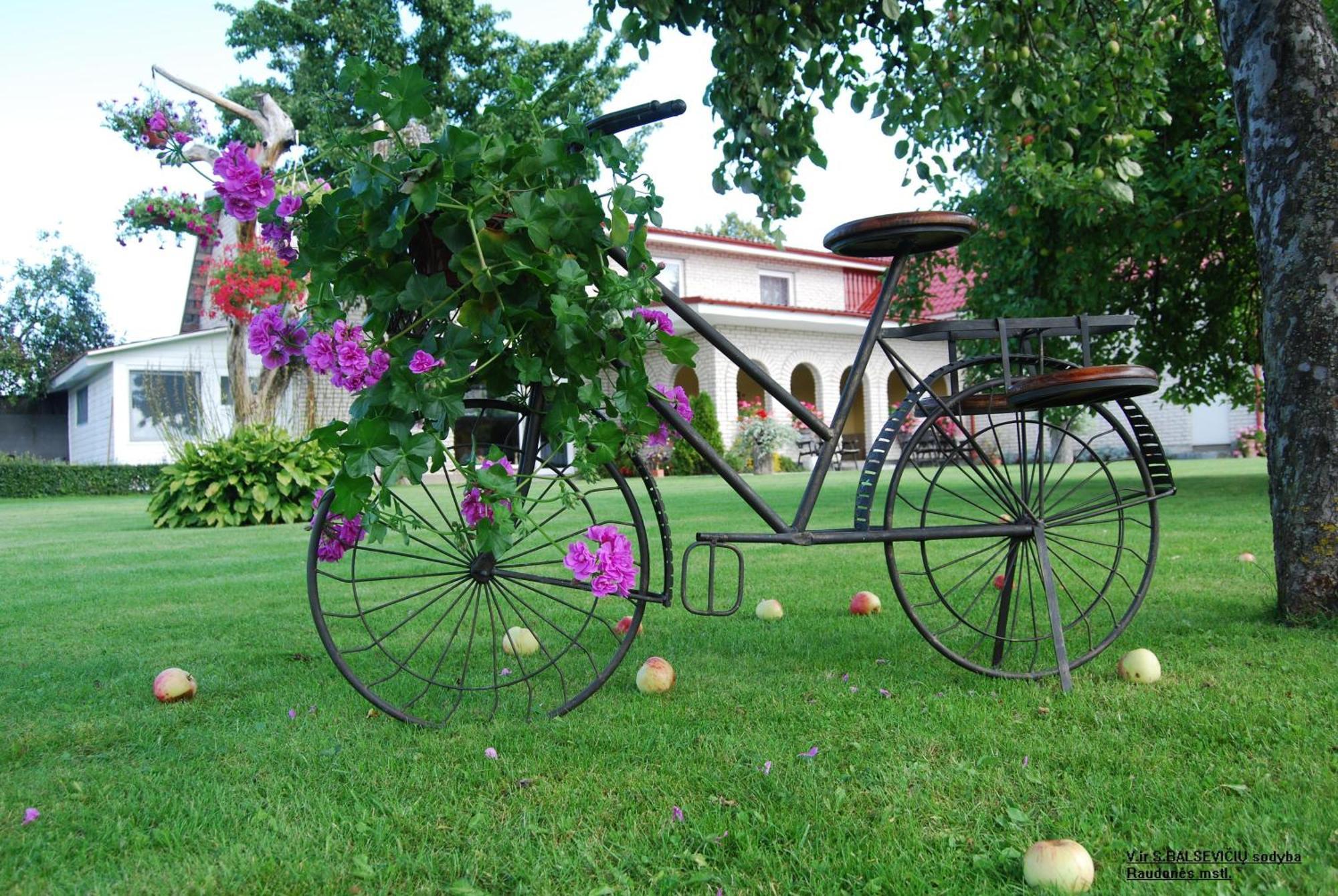 Stasio Balseviciaus Homestead Raudonė Buitenkant foto